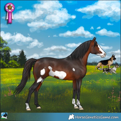 Horse Color:Brown Frame 
