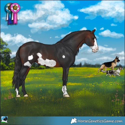Horse Color:Brown Frame 