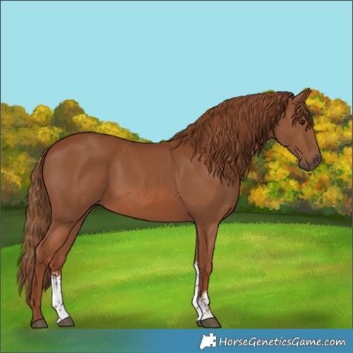 Horse Color:Chestnut Sabino 