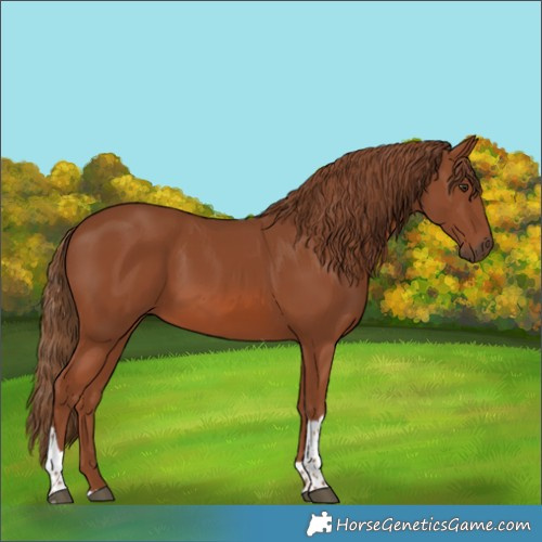Horse Color:Chestnut Tobiano 