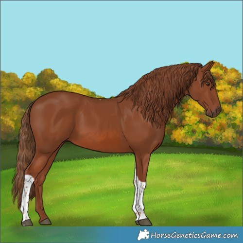 Horse Color:Chestnut Tobiano