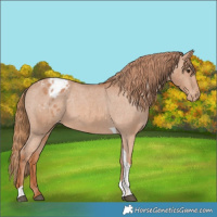 Horse Color:Chestnut Tobiano Varnish 