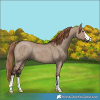 Horse Color:Liver Red Dun Brindle