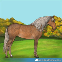 Horse Color:Chocolate Palomino