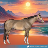 Horse Color:Buckskin Dun