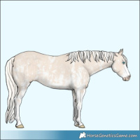 Horse Color:Cremello Sabino  and Cremello Sabino 