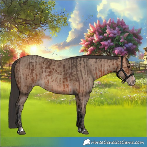 Horse Color:Brown Rabicano  and Sable Champagne Rabicano 