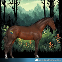 Horse Color:Liver Chestnut 