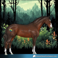 Horse Color:Liver Chestnut 