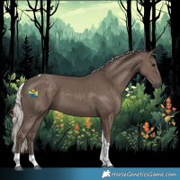 Horse Color:Silver Black Tobiano 