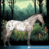 Horse Color:Brown Dun Blanket 