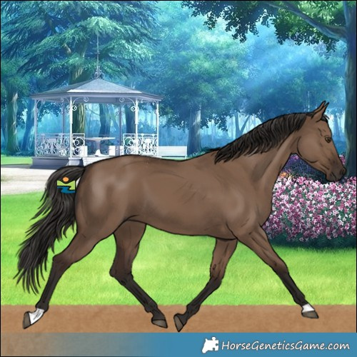 Horse Color:Liver Red Dun 