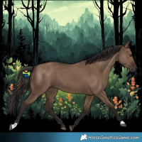 Horse Color:Liver Red Dun 