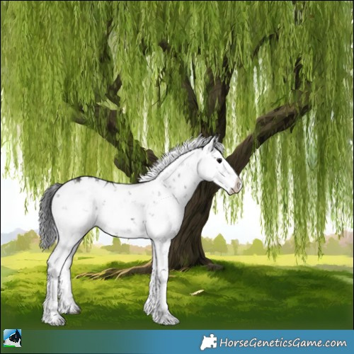 Horse Color:Grullo Sabino Splash Rabicano Brindle 