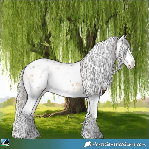 Horse Color:Silver Brown Onyx Sabino 