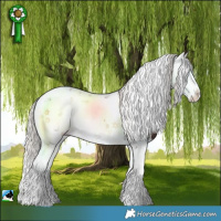 Horse Color:Silver Brown Onyx Sabino