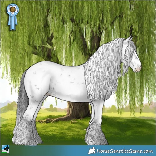 Horse Color:Grullo Mushroom Sabino Rabicano