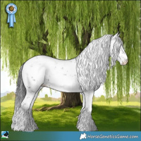 Horse Color:Grullo Mushroom Sabino Rabicano 