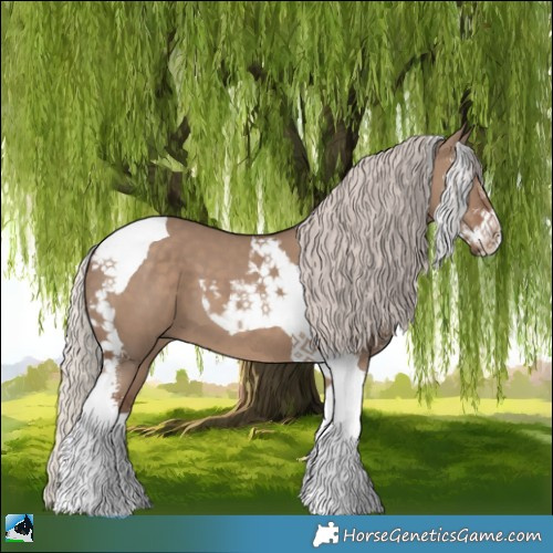 Horse Color:Silver Grullo Sabino Tobiano 