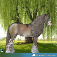 Horse Color:Liver Red Dun Mushroom Sabino 