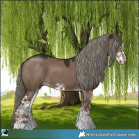 Horse Color:Liver Red Dun Mushroom Sabino 