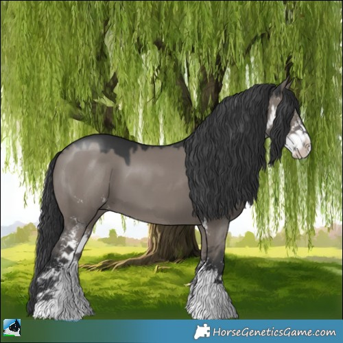 Horse Color:Grullo Mushroom Sabino