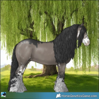 Horse Color:Grullo Mushroom Sabino 