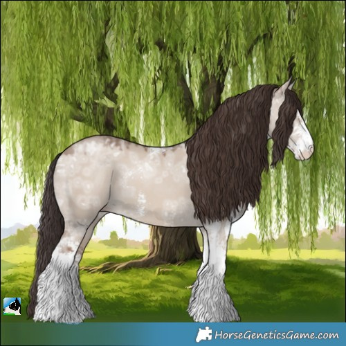 Horse Color:Classic Champagne Ice Dun Sabino 
