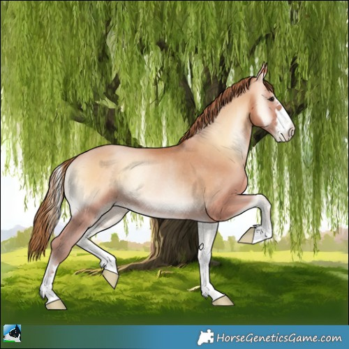 Horse Color:Bay Pearl Onyx Rabicano 