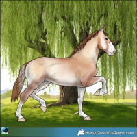 Horse Color:Bay Pearl Onyx Rabicano