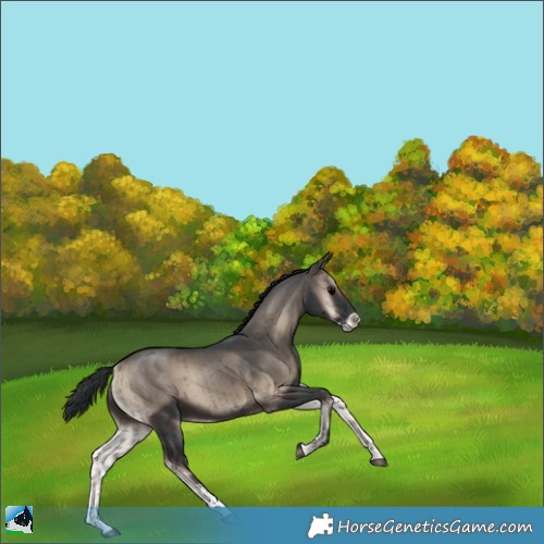 Horse Color:Blue Onyx Sabino Brindle 