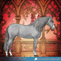 Horse Color:Black Varnish 