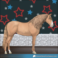 Horse Color:Gold Champagne Splash 