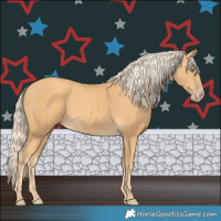 Horse Color:Gold Cream Champagne 