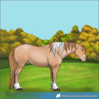 Horse Color:Bay Pearl Tobiano 