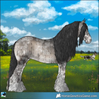 Horse Color:Blue Onyx Ice Mushroom Rabicano 