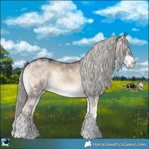 Horse Color:Liver Red Dun Ice Onyx Mushroom Sabino Rabicano
