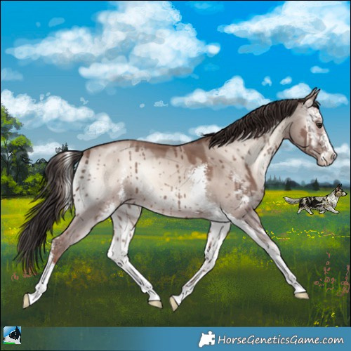 Horse Color:Classic Champagne Onyx Mushroom Sabino Brindle 