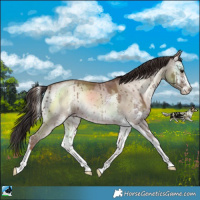 Horse Color:Classic Champagne Onyx Mushroom Sabino Brindle 