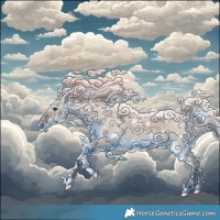 Horse Color:White Spotted Liver Red Dun