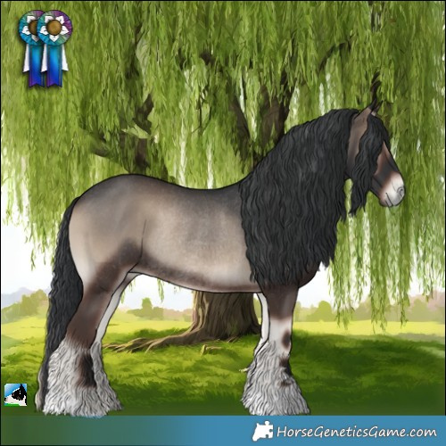 Horse Color:Blue Onyx Rabicano 
