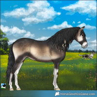 Horse Color:Brown Onyx