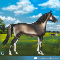 Horse Color:Brown Onyx 