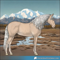 Horse Color:Silver Perlino 