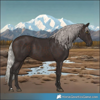 Horse Color:Silver Brown 