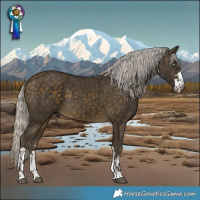 Horse Color:Silver Buckskin  and Silver Buckskin 