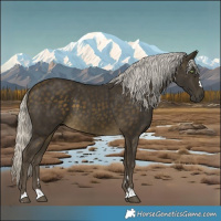 Horse Color:Silver Buckskin 