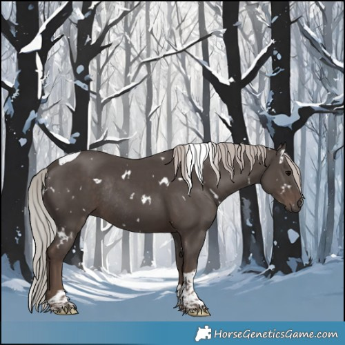 Horse Color:White Spotted Silver Black Tobiano Rabicano 