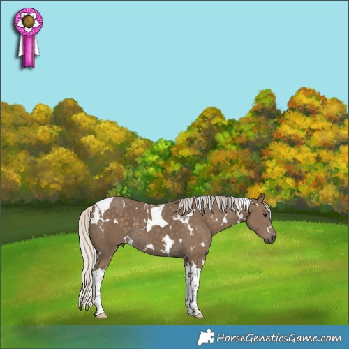 Horse Color:White Spotted Silver Smoky Black Tobiano 