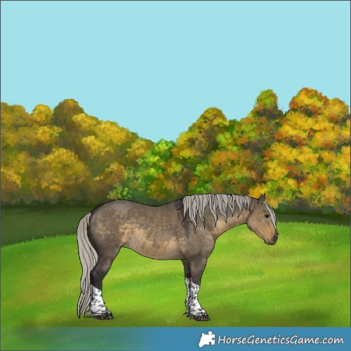 Horse Color:Silver Smoky Grullo Tobiano 